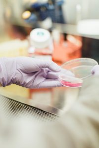 Dentists undertake pioneering research