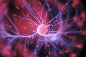 Stem cell research could benefit dental implant procedures